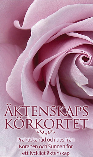 Berömda gifta par i bibeln